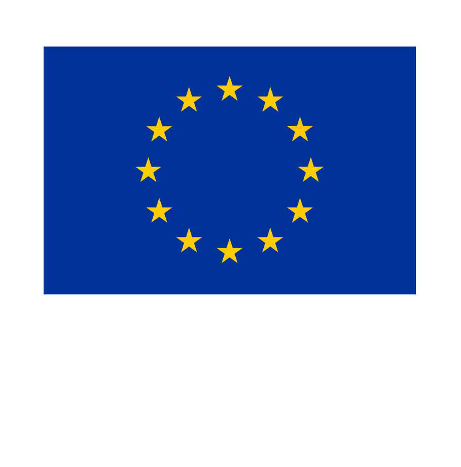 EUflag